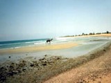 Sinai-0006
