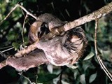 Brasil-0028