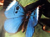 Brasil-0031