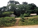 Brasil-0034