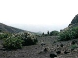 Cabo Verde-0046