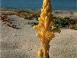 Cabo Verde-0054