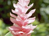 Costa Rica-0067