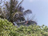 Costa Rica-0075