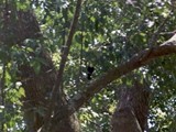 Costa Rica-0077