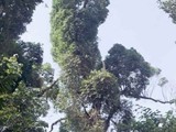 Costa Rica-0081