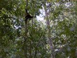 Costa Rica-0083