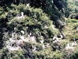 Florida-0093