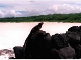 Galapagos-0109