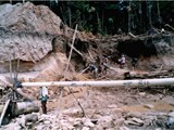 Guyana-0118