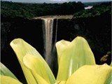 Guyana-0122