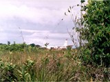 Guyana-0128