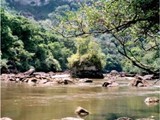Guyana-0132