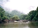 Guyana-0137