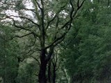 Portugal-0199