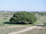 Portugal-0203
