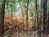 Portugal-0214