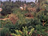 Venezuela-0238