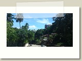 Olinda-0080