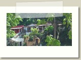 Olinda-0082