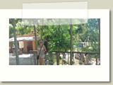 Olinda-0085