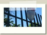 Olinda-0115
