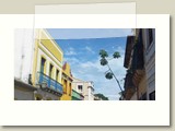 Olinda-0124